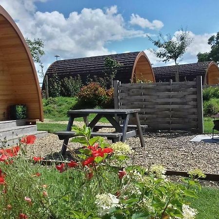Buttercup Glamping Pod Hotel Cheltenham Luaran gambar